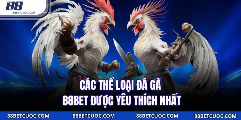Các thể loại đá gà 88BET được yêu thích nhất